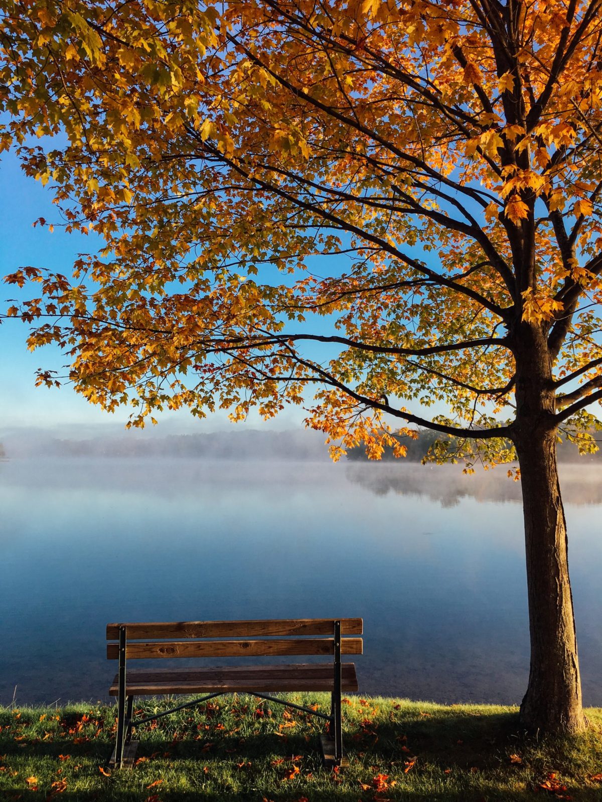 bench next to a lake in the fall