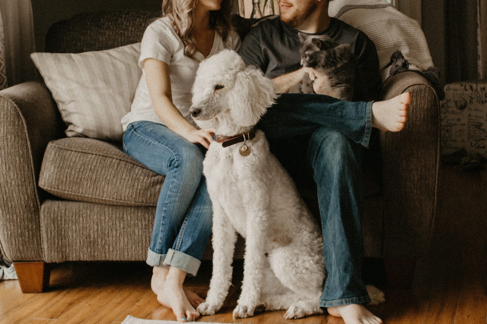 couple sitting on couch with dogs